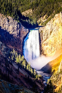 View of waterfall in forest