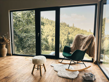 Dog sitting on table