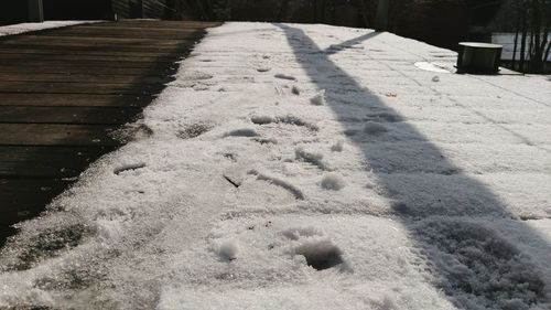 Shadow of bird on snow