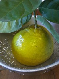 Close-up of green fruit in plate