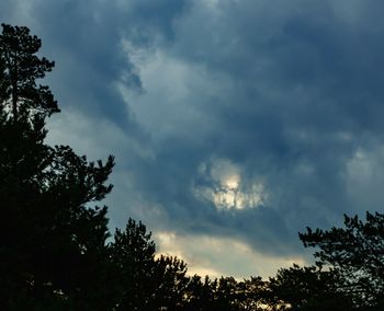 Low angle view of trees against cloudy sky