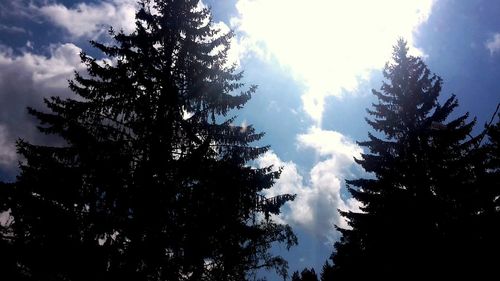 Low angle view of trees against cloudy sky