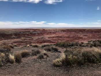 Scenic view of desert against sky