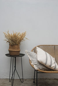 Potted plant on table against wall at home