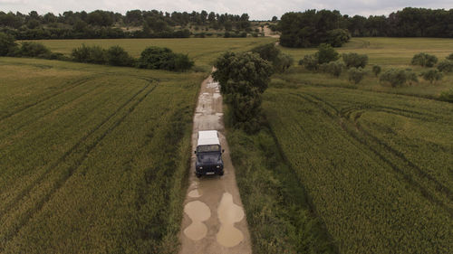 Scenic view of agricultural field