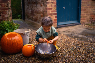 Little girl is preparing her pumpkins for halloween 