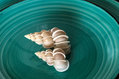 Close-up of ice cream over white background