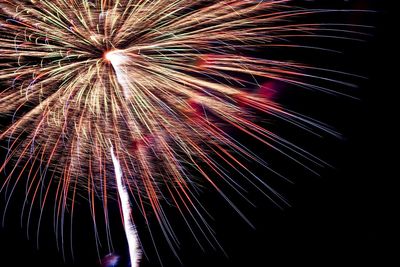 Low angle view of firework display at night