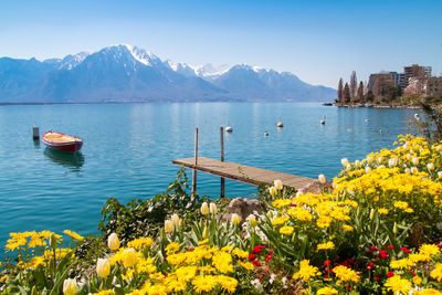 Scenic view of lake against blue sky