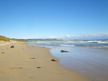 Scenic view of beach