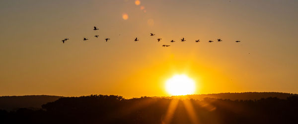 Silhouette birds flying against sky during sunset