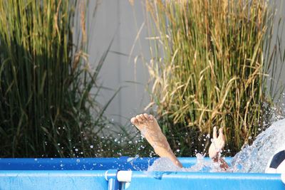 Low section of person falling in wadding pool