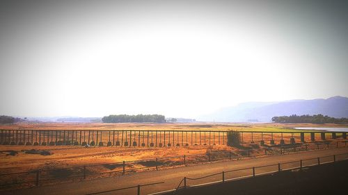 Scenic view of field against clear sky