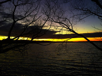 Bare trees in lake at sunset