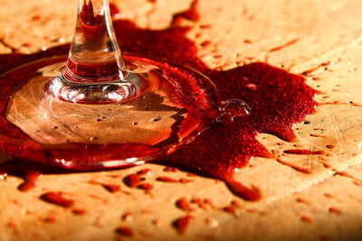 Close up of red leaf