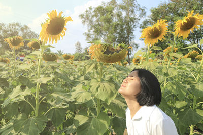 Portrait of woman with sunflower against plants