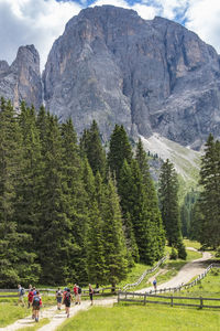 Group of hikers on a trail at an alpine meadow