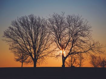 Silhouette of tree at sunset