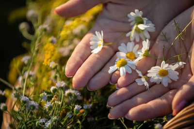 Close-up of hand holding flower