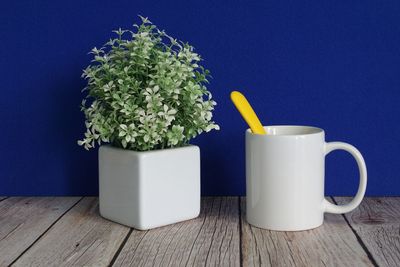 Close-up of potted plant on table