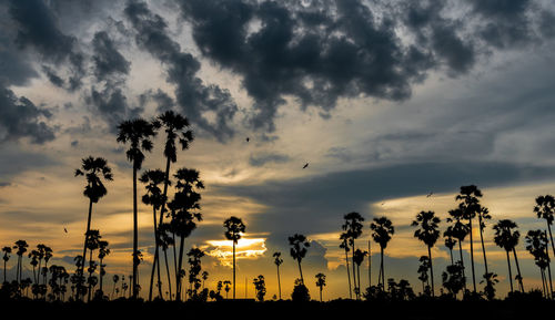 Low angle view of silhouette trees against sky during sunset