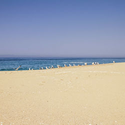 Scenic view of beach against clear sky