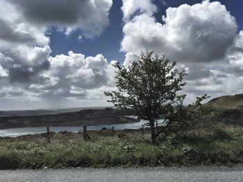 View of trees on landscape against cloudy sky