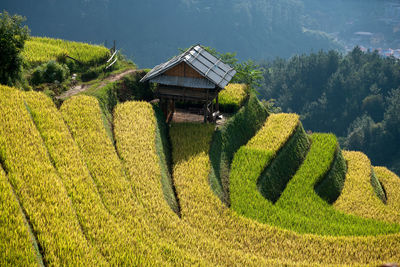 Panoramic view of agricultural field by building against sky