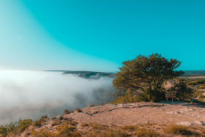 Scenic view of landscape against clear blue sky with the tree, mist and cliff edge