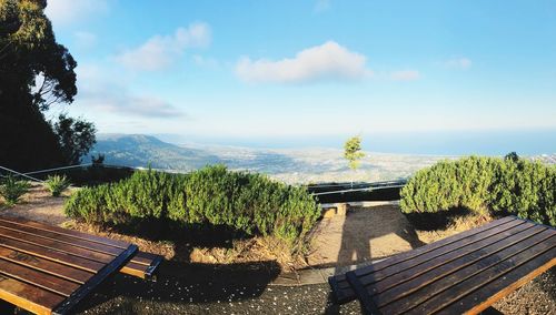 Trees and bench against sky