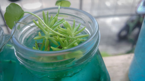 High angle view of drink in glass jar on table