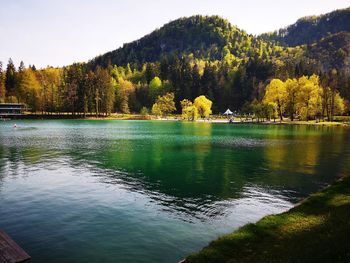 Scenic view of lake by trees against sky