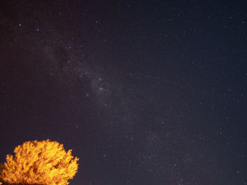 Low angle view of star field against sky at night