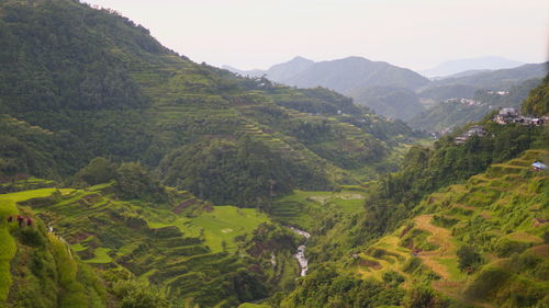 Scenic view of green landscape and mountains against sky