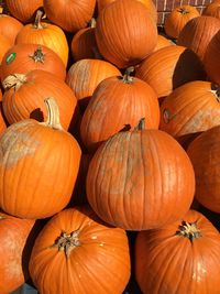 Close-up of pumpkins for sale at market stall