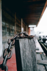 Close-up of chain on wooden post