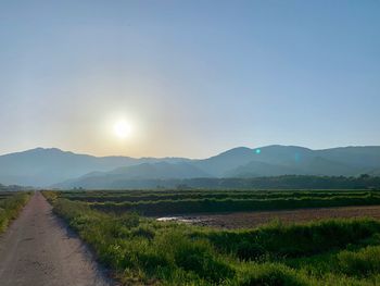 Scenic view of field against clear sky