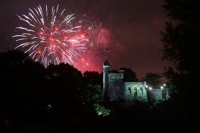 Low angle view of firework display at night