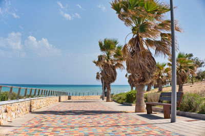 Palm trees on beach against sky