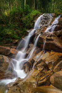 View of waterfall in forest