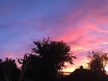 Low angle view of silhouette trees against sky during sunset