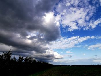 Scenic view of trees on field against sky