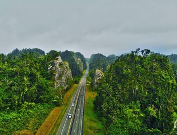 View of road amidst trees against sky