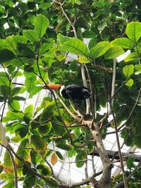 Bird perching on a tree