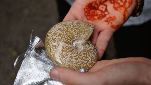 Close-up of person holding ice cream