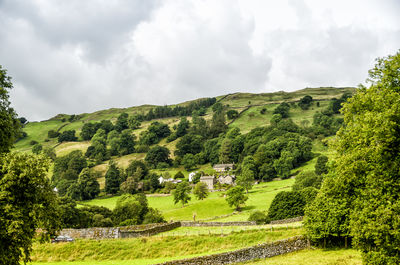 Scenic view of green landscape against sky