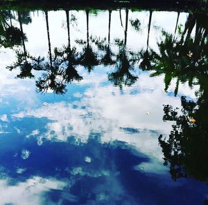 Reflection of tree in lake against sky