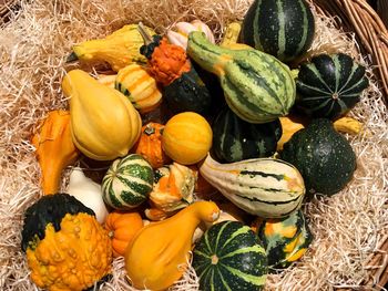 High angle view of pumpkins