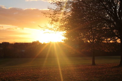 Sun shining over trees during sunset