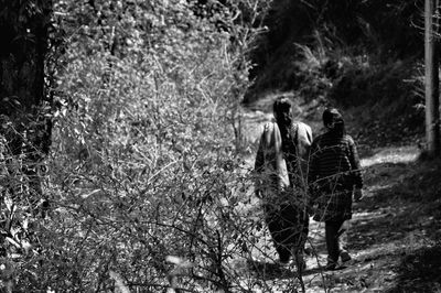 Rear view of people walking in forest